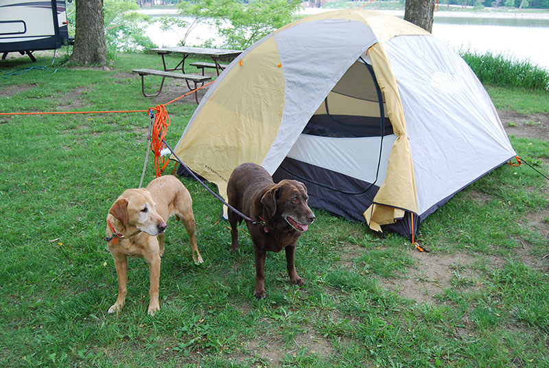 Camping in SD with my dogs